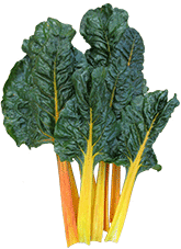 Silverbeet 'Orange Fantasia'