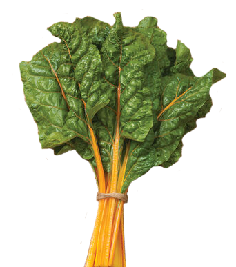 Silverbeet 'Oriole Orange'