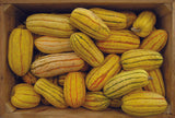 Squash 'Delicata'