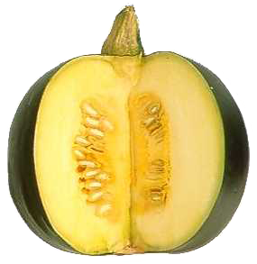 Gem Squash