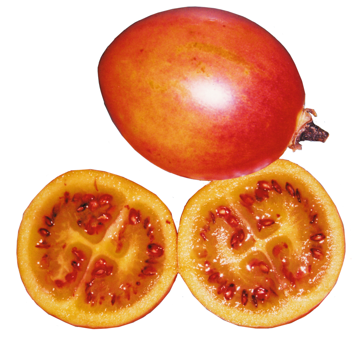 Tamarillo 'Inca Gold'