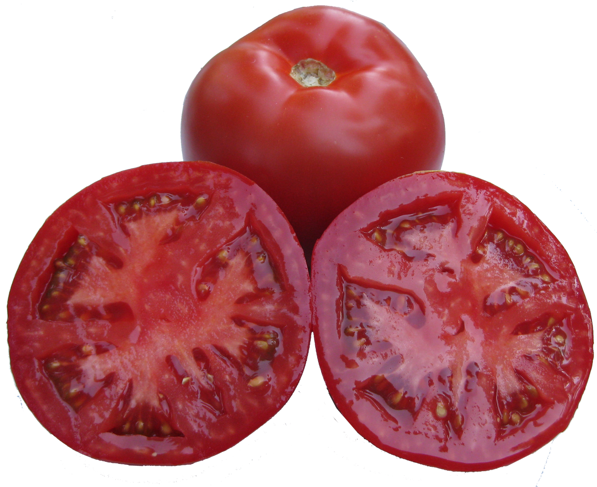 Tomato 'Beefsteak'