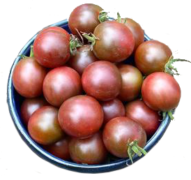 Tomato 'Cherry Brown Berry'