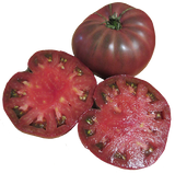 Tomato 'Cherokee Purple'