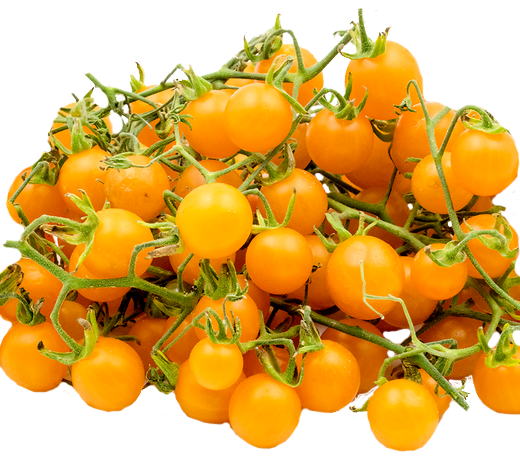 Tomato 'Cherry Yellow Currant'