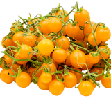 Tomato 'Cherry Yellow Currant'