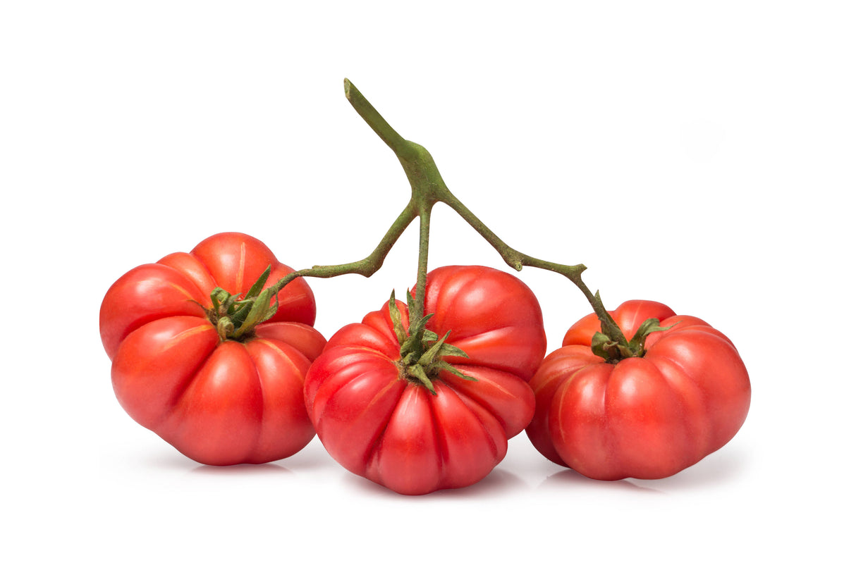 Tomato 'Costoluto Fiorentino'