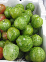 Tomato 'Green Zebra'