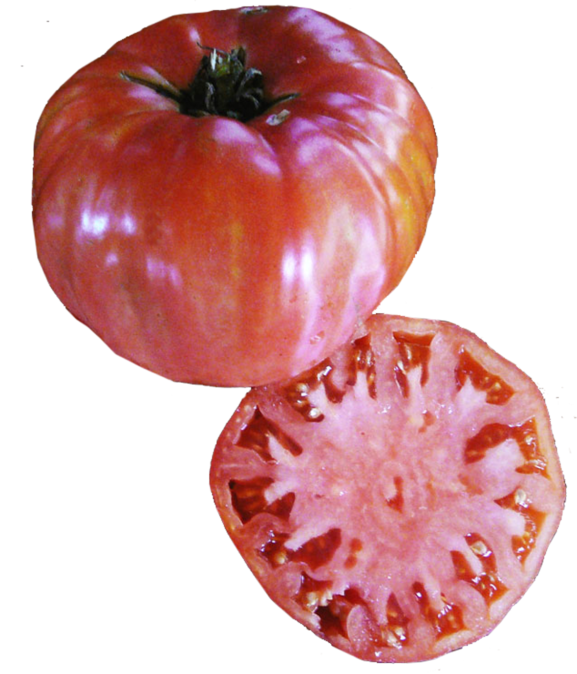 Tomato 'Mortgage Lifter'