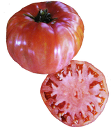 Tomato 'Mortgage Lifter'