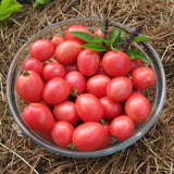 Tomato 'Thai Pink Egg'