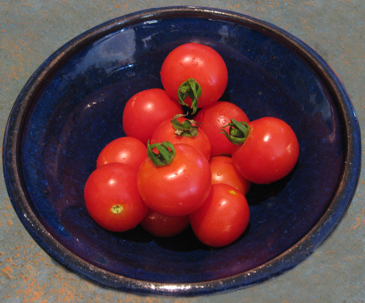 Tomato 'Tommy Toe'