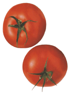 Tomato 'Tropic'