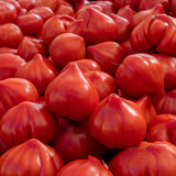 Tomato 'Oxheart'