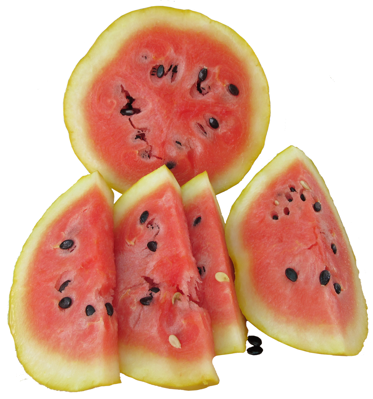 Watermelon 'Golden Midget'