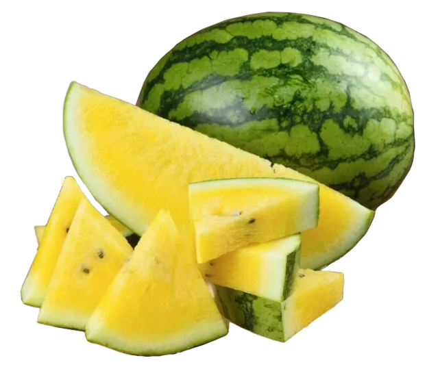 Watermelon 'Mountain Sweet Yellow'