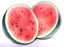 Watermelon 'Sugarbaby'