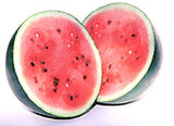 Watermelon 'Sugarbaby'