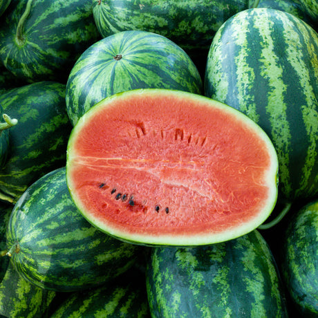 Watermelon 'Bush Jubilee'