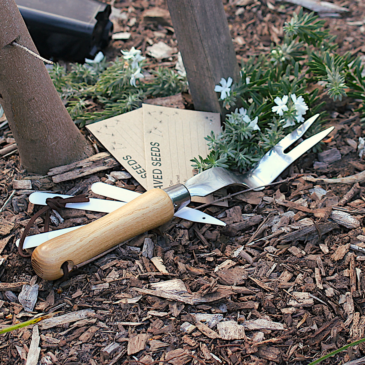 Hand Weeder