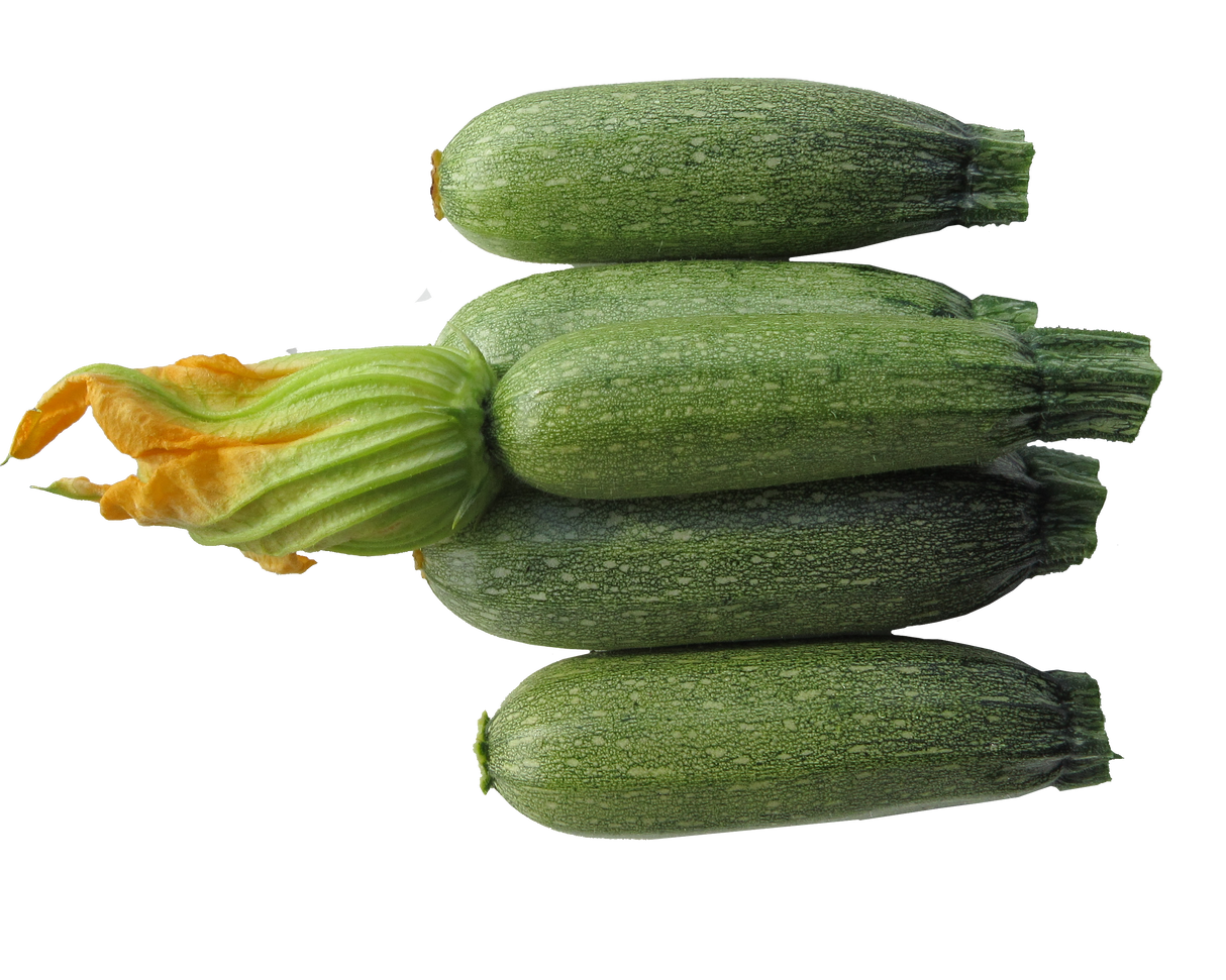 Zucchini 'Grey'