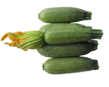 Zucchini 'Grey'