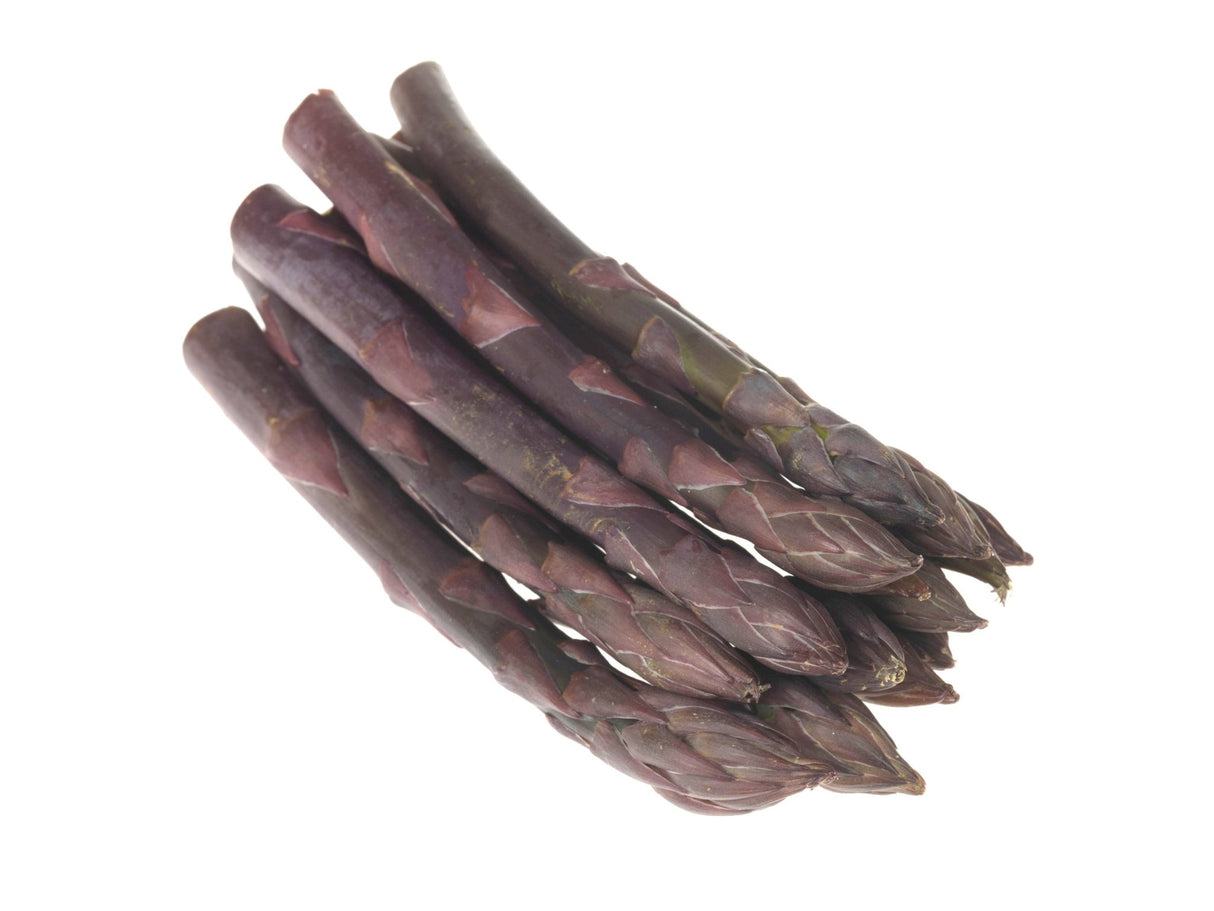 Asparagus 'Sweet Purple' - GH