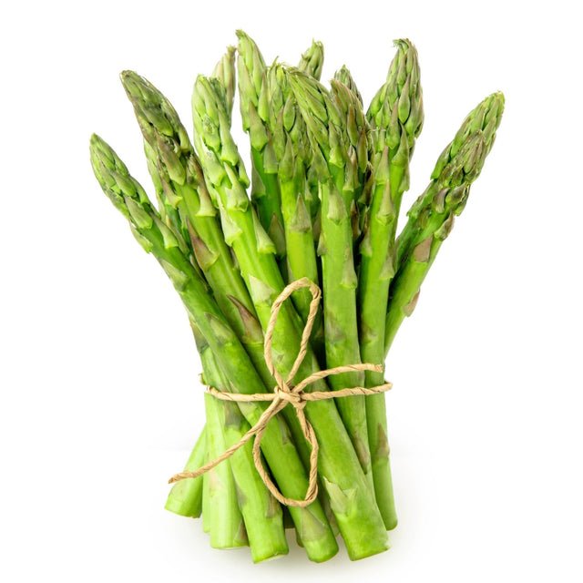 Asparagus 'UC 157' - GH