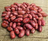 Bean Bush 'African Premier' - GH