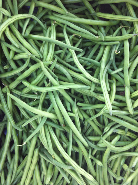 Bean Climbing 'Blue Lake' - GH