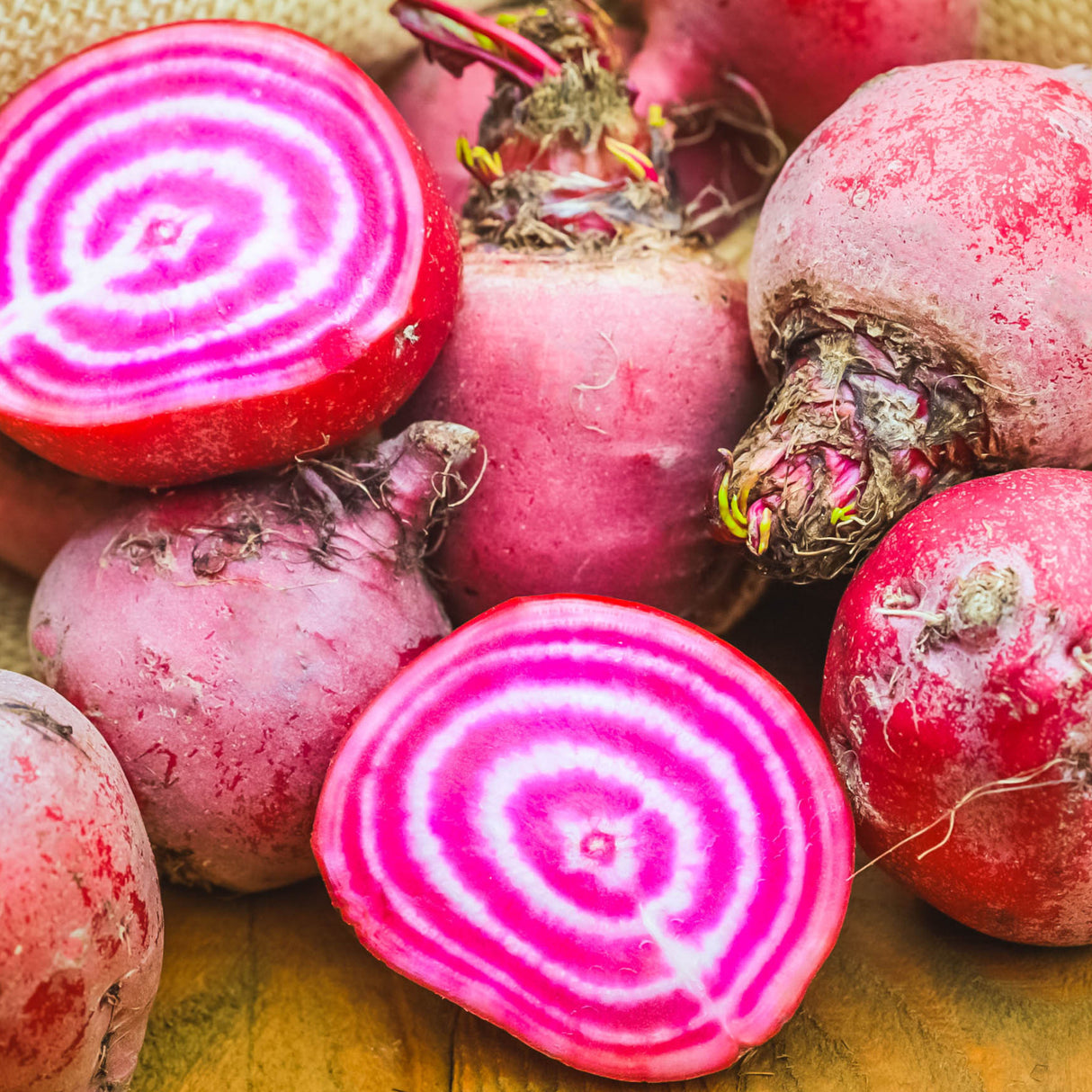 Beetroot 'Chioggia'