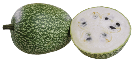 Chilacayote Squash - Green Harvest