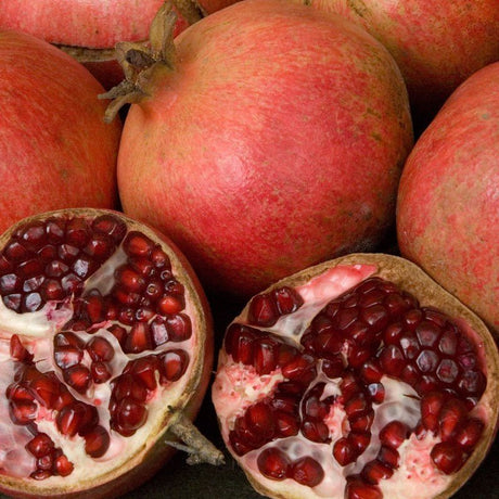 Pomegranate - Green Harvest