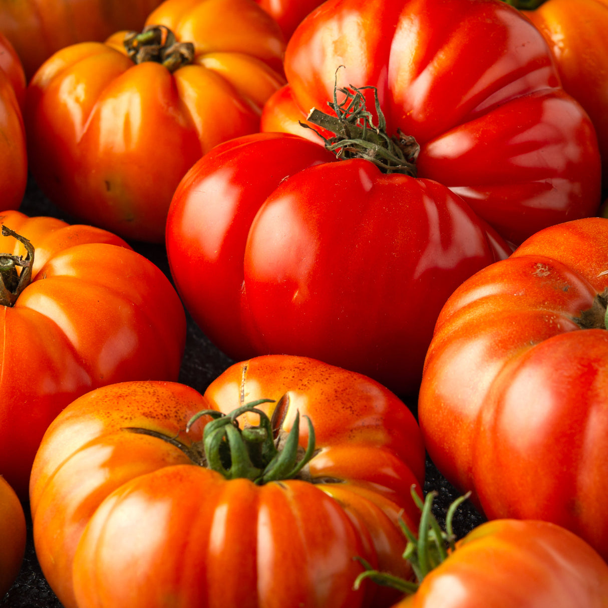 Tomato 'Mortgage Lifter'