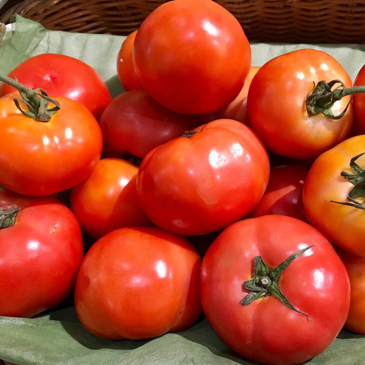 Tomato 'Red Russian'